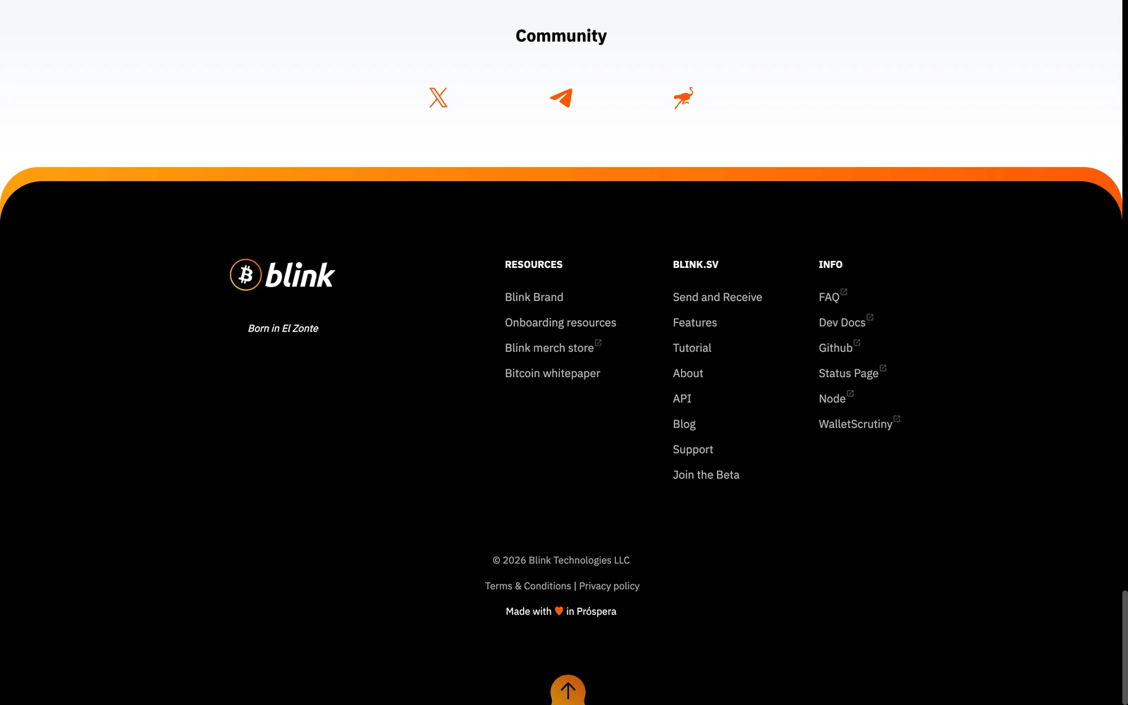 Bottom screenshot of Blink.sv
