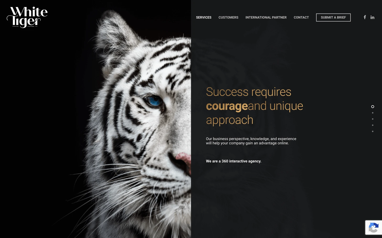 Top screenshot of WhiteTiger.pl