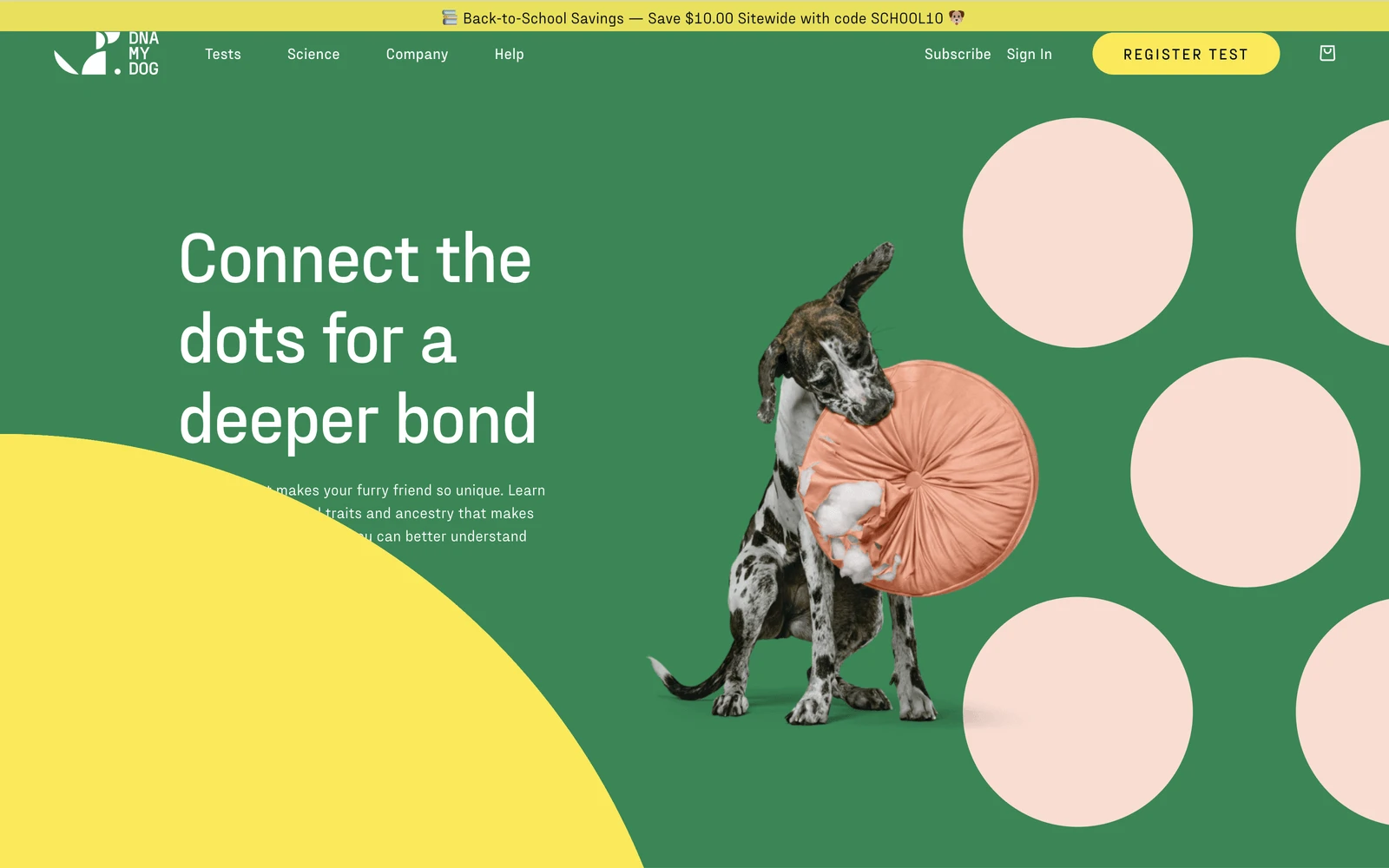 Top screenshot of DNAMyDog.com
