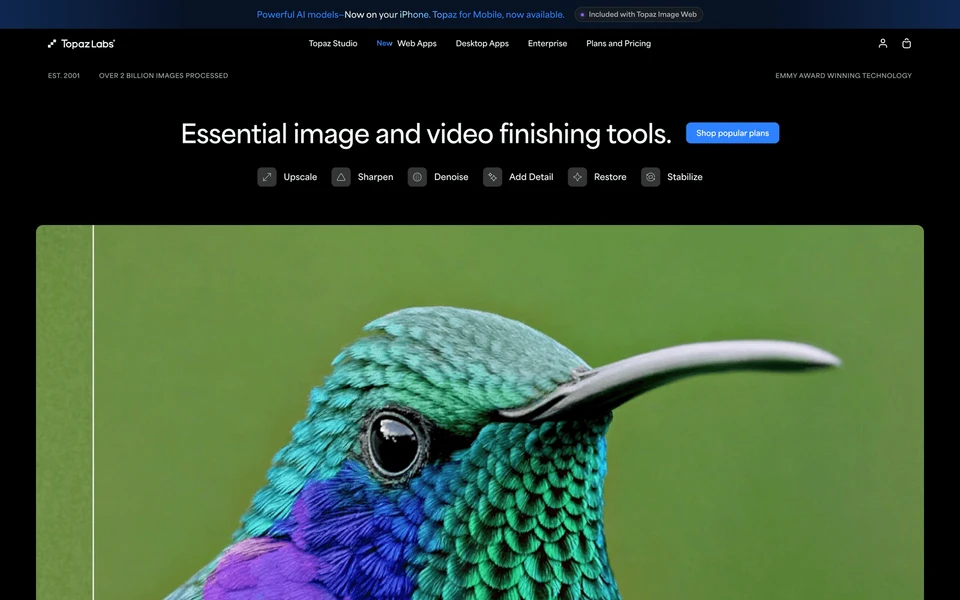 Screenshot of TopazLabs.com