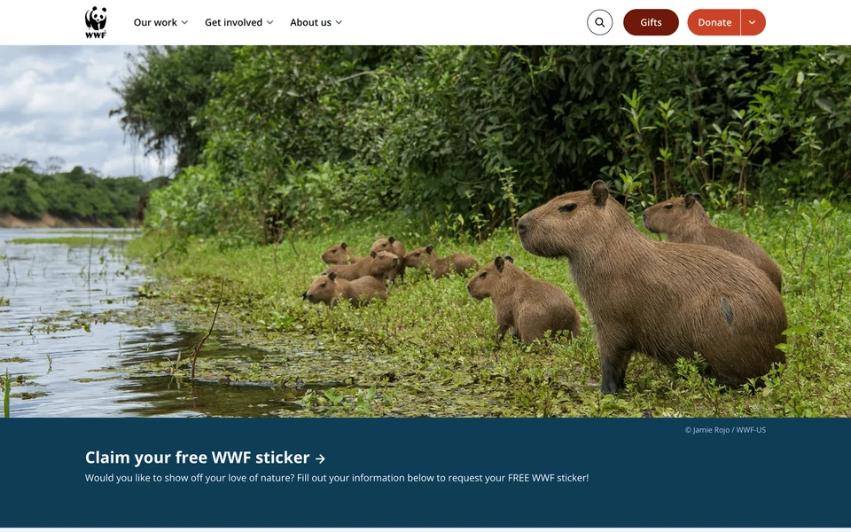 Screenshot of WorldWildlife.org