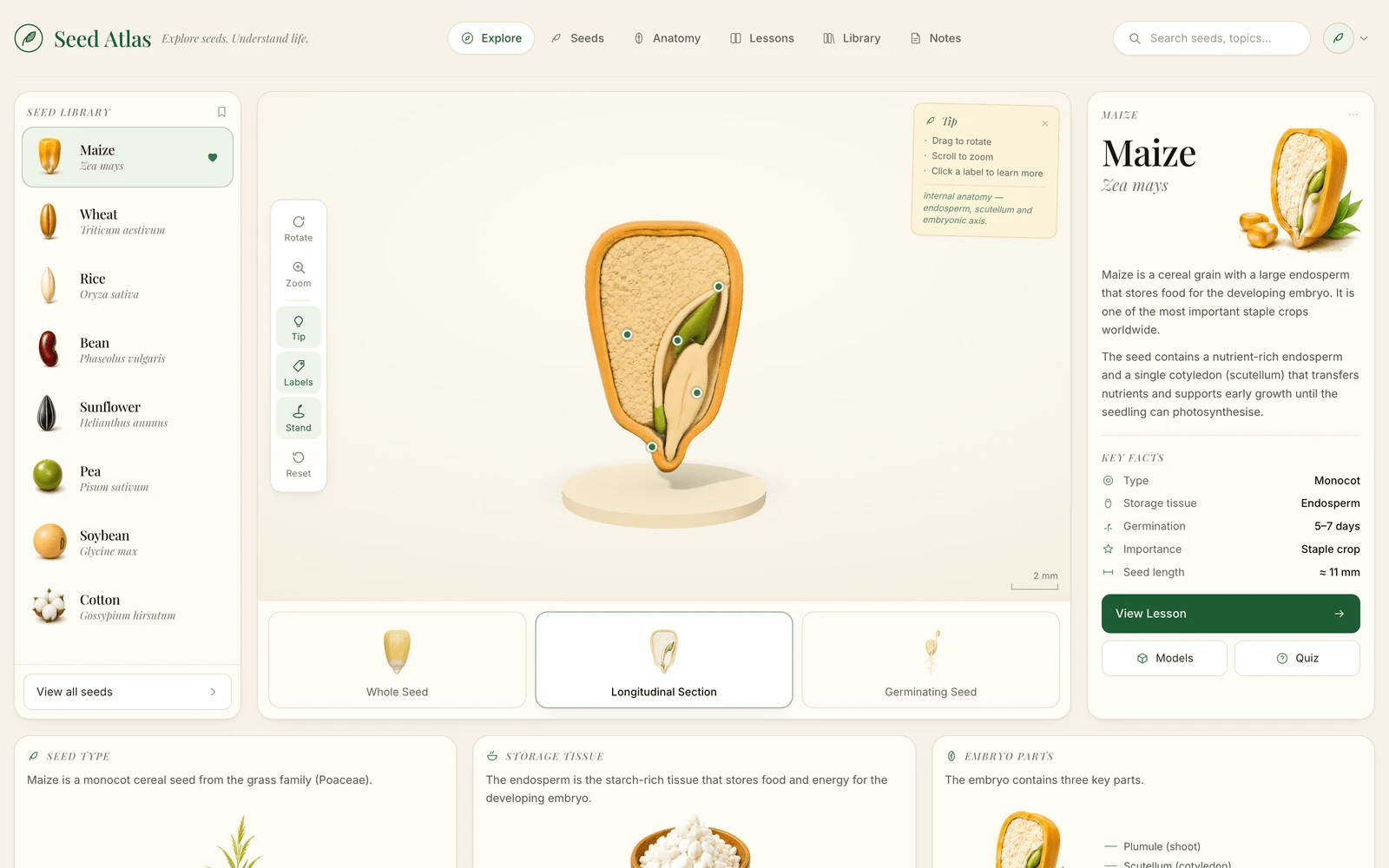 Top screenshot of SeedsAtlas.vercel.app