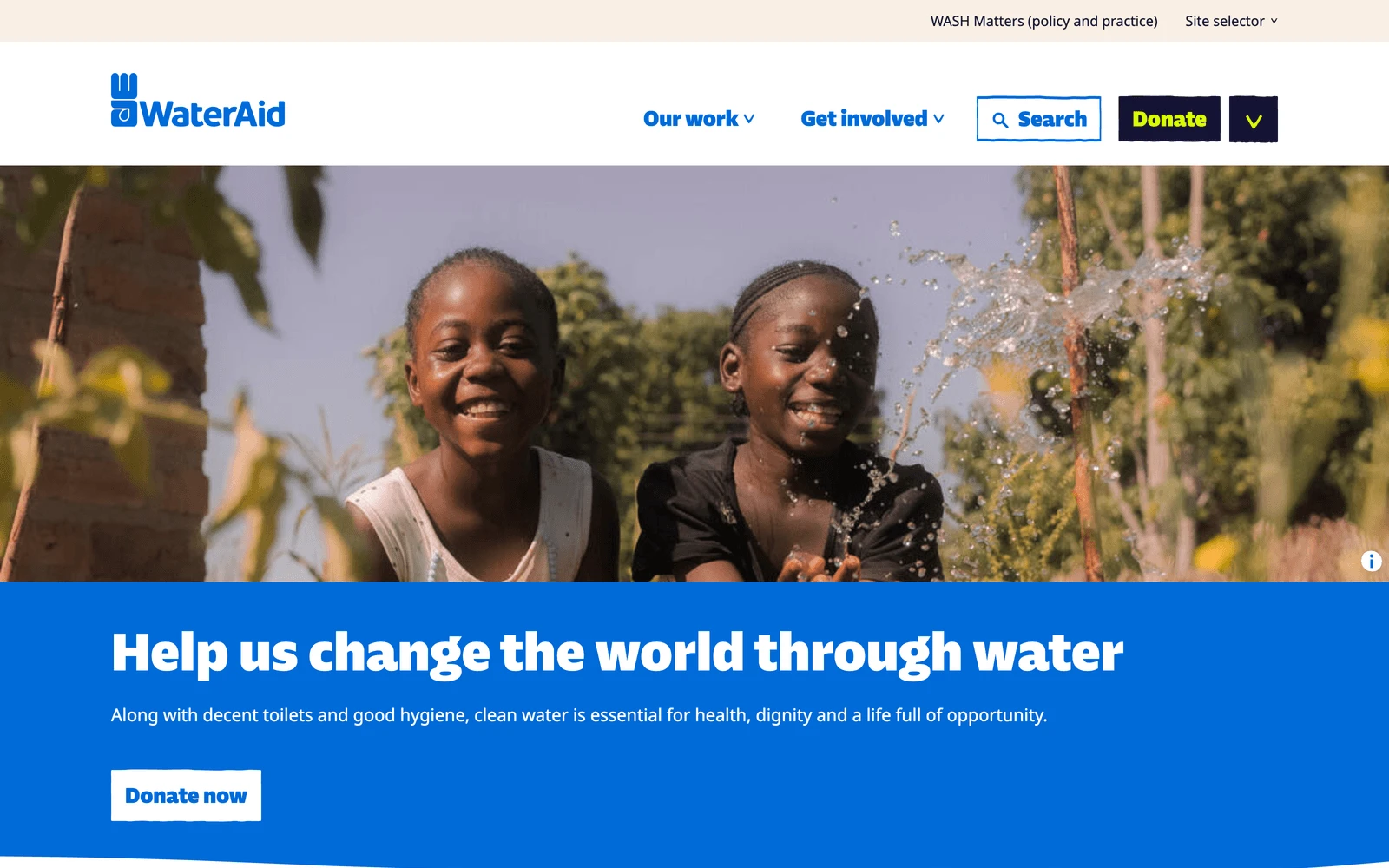 Top screenshot of WaterAid.org