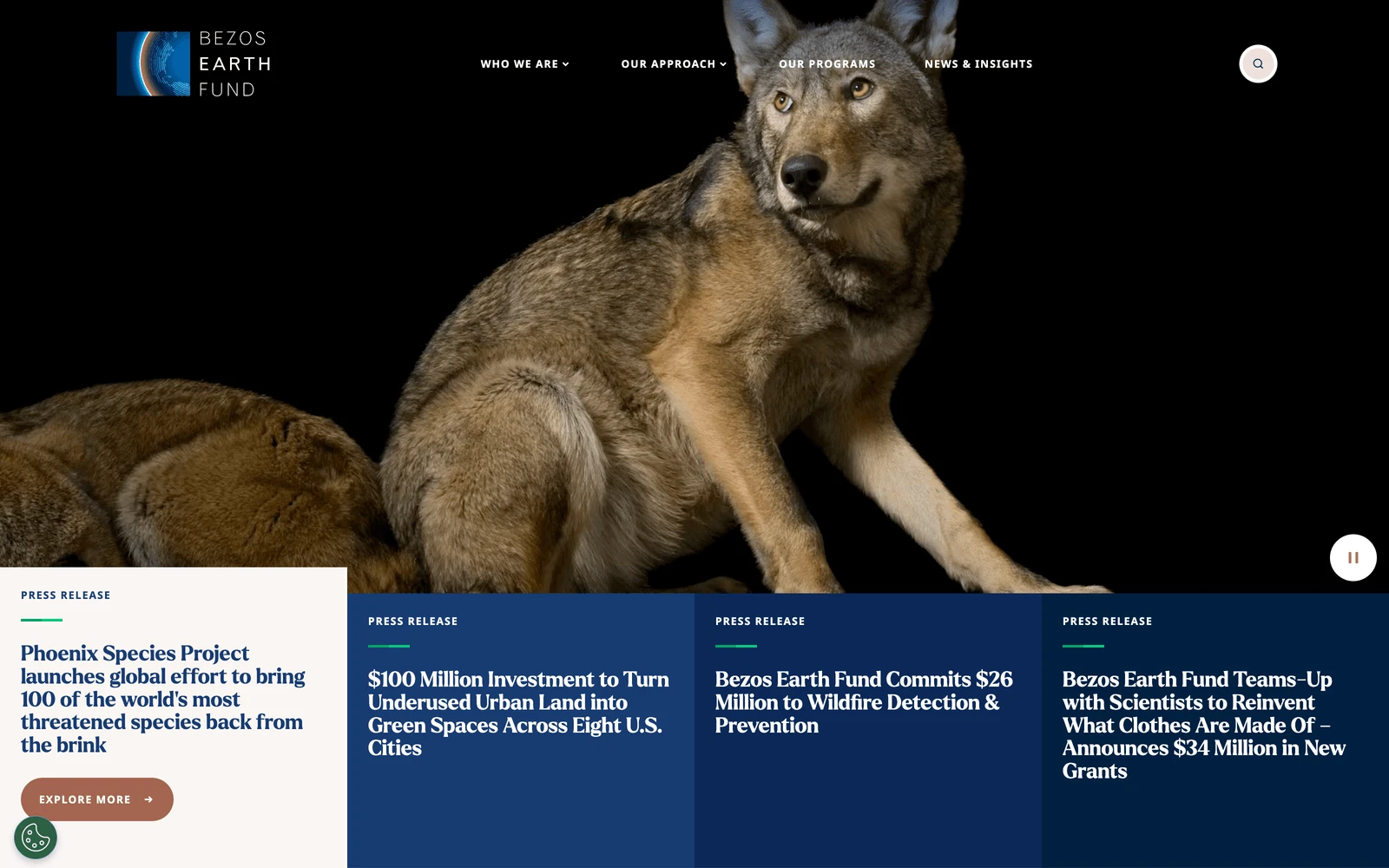 Top screenshot of BezosEarthFund.org