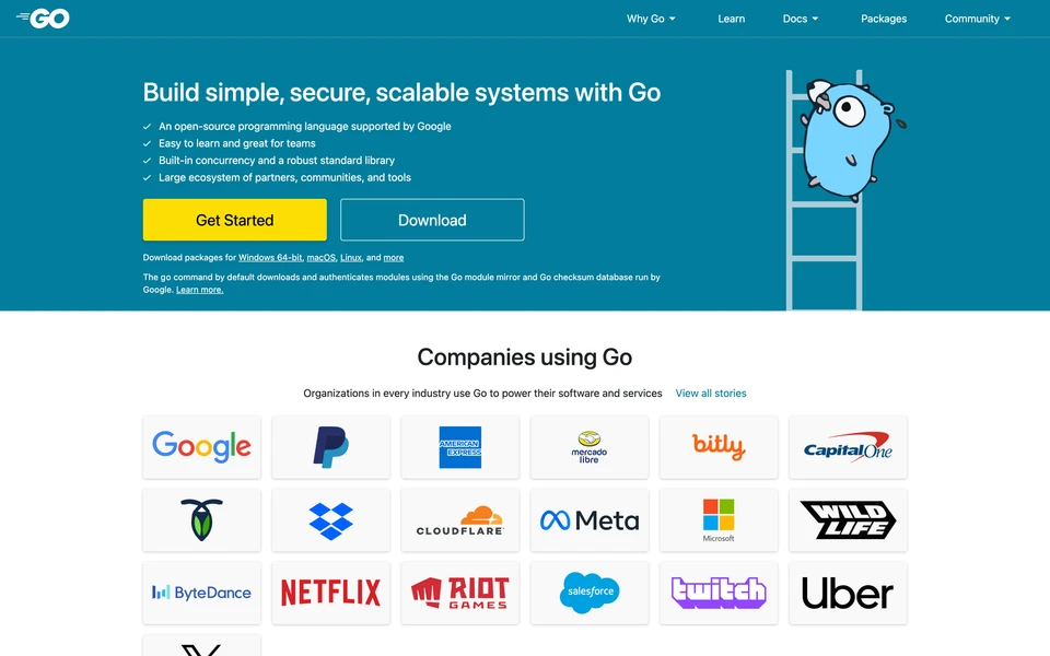 Screenshot of Go.dev