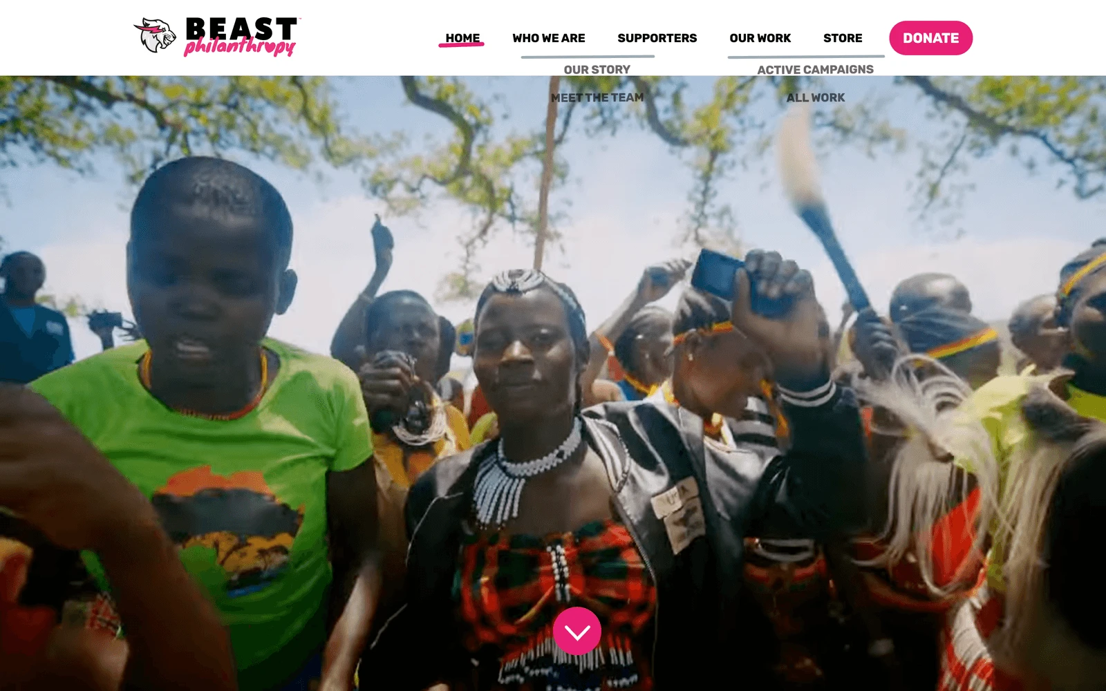 Top screenshot of BeastPhilanthropy.org