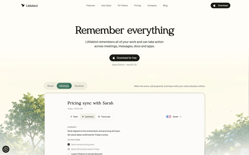 Screenshot of LittleBird.AI