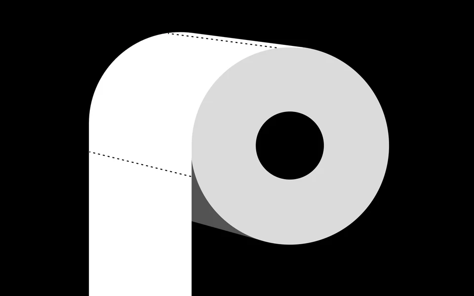 Screenshot of PaperToilet.com